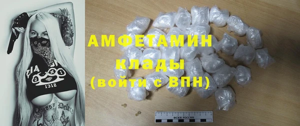 стаф Алзамай