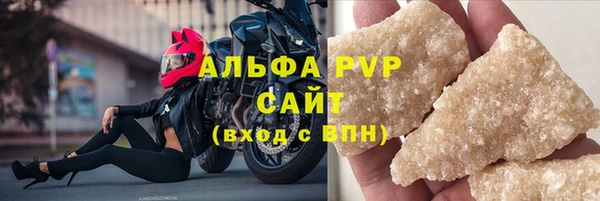 шишки Новозыбков
