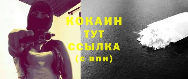 шишки Новозыбков