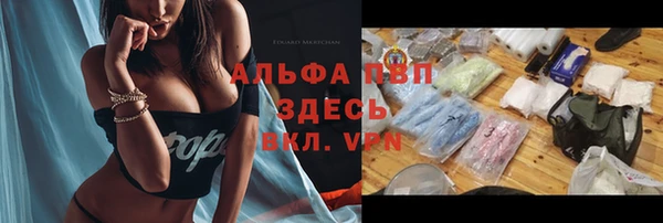 тгк Новокубанск