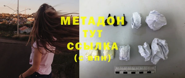 стаф Алзамай