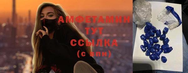 стаф Алзамай