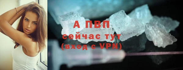 дурь Новодвинск